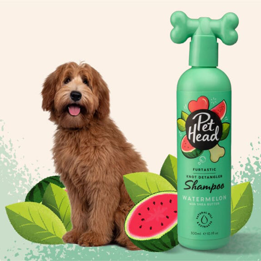 Pet Head Furtastic Knot Detangler Shampoo For Dog & Cats- 300 ml - Heads Up For Tails