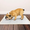 Bramton OUT! Go Here Dog Pads - Moisture Lock Training Pads - Heads Up For Tails