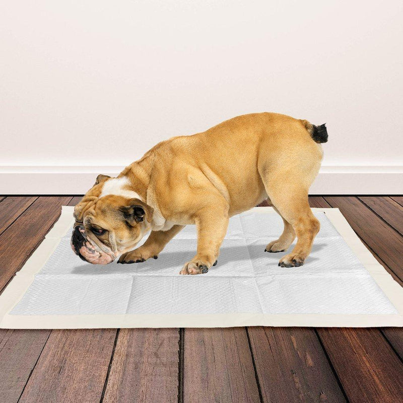 Bramton OUT! Go Here Dog Pads - Moisture Lock Training Pads - Heads Up For Tails