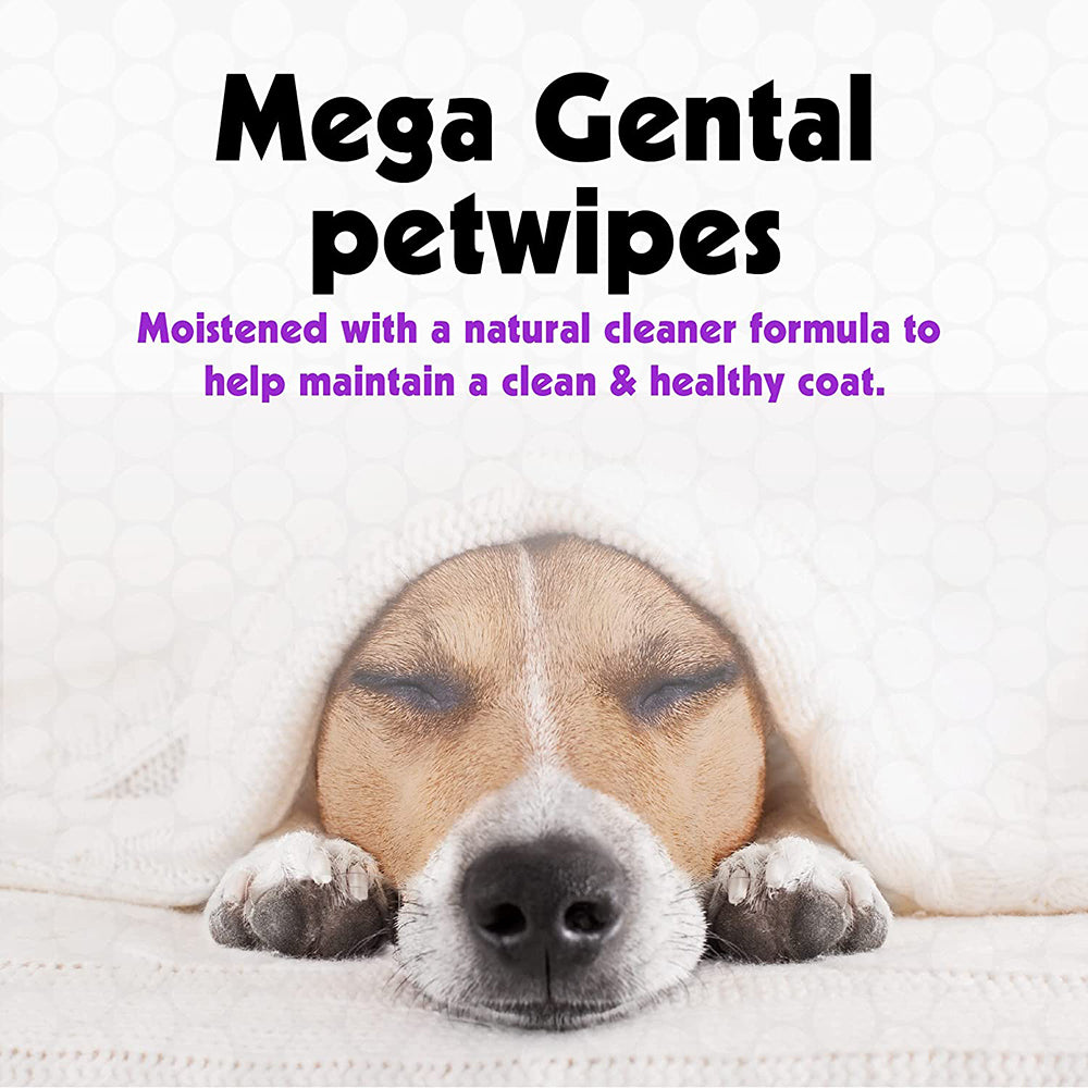 Petkin Mineral Bath Pet Wipes - 200 Pcs - Heads Up For Tails