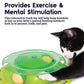 Petstages Catnip Chaser Cat Toy - Heads Up For Tails