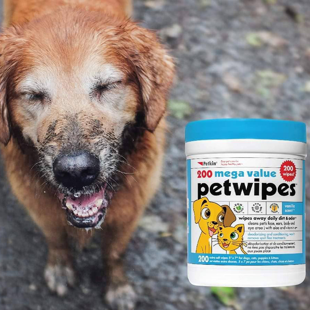 Petkin Petwipes - Heads Up For Tails