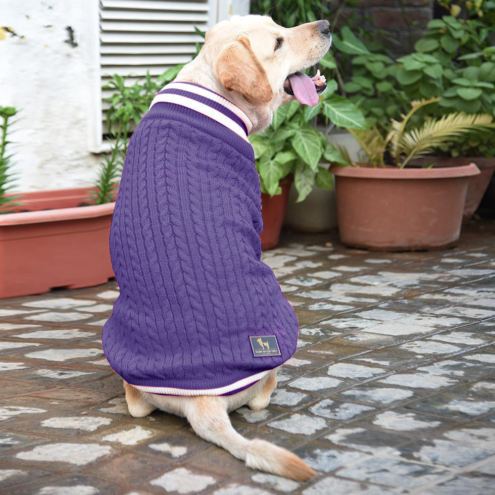 HUFT Fuzzy Buddy Dog Sweater - Purple-1