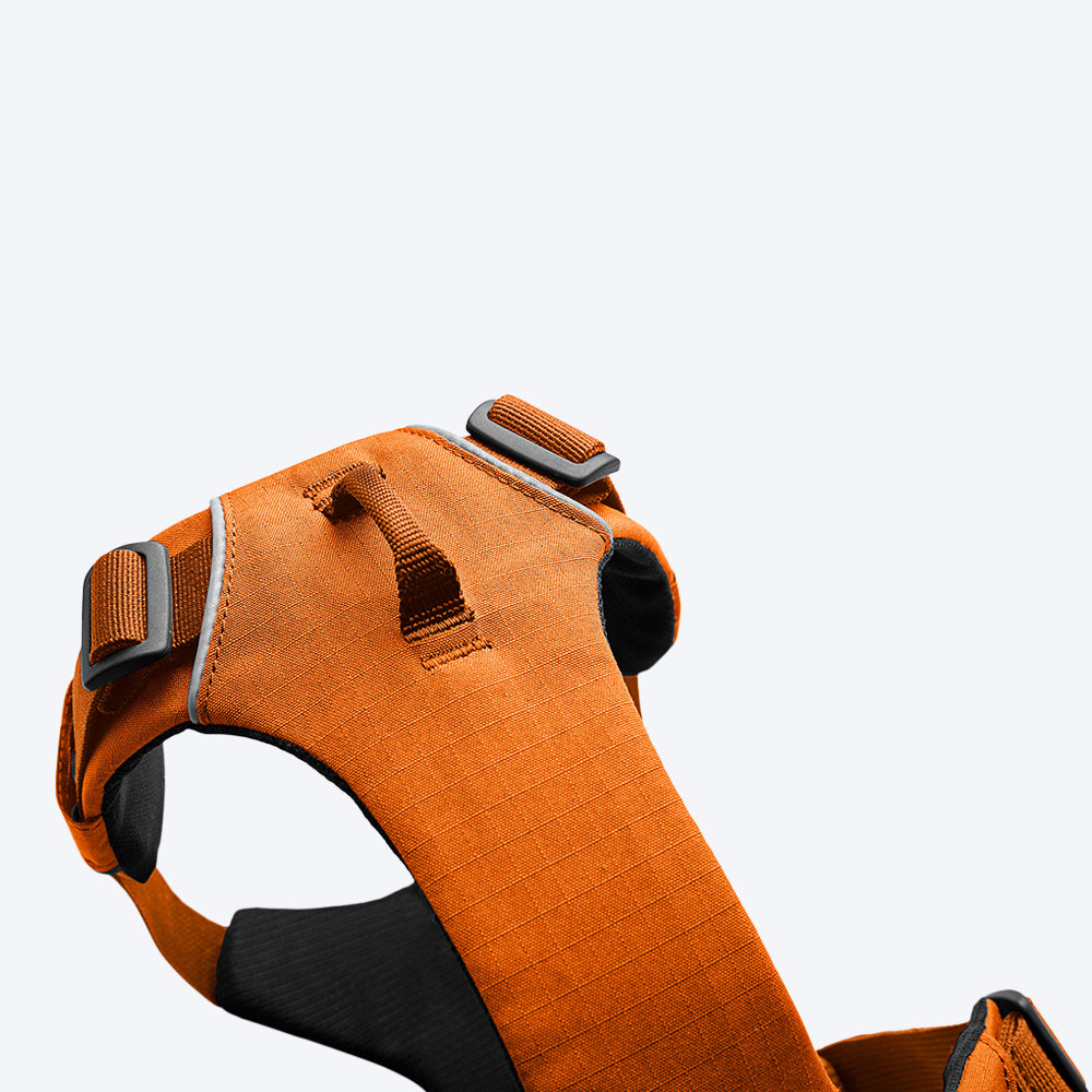 Ruffwear Front Range Dog Harness - Campfire Orange - Heads Up For Tails
