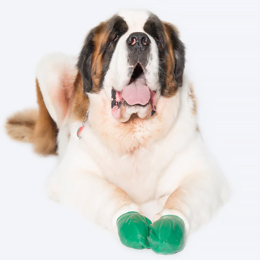 Dog shoes online Clearance