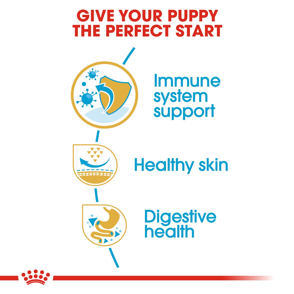 Royal Canin Pug Junior Food for Puppies - Heads Up For Tails