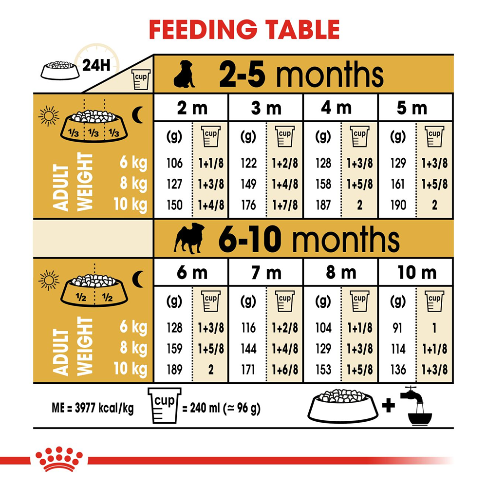 Royal Canin Pug Junior Food for Puppies - Heads Up For Tails