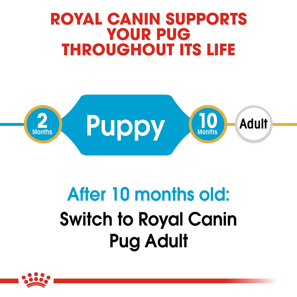 Royal canin dog hot sale food pug puppy