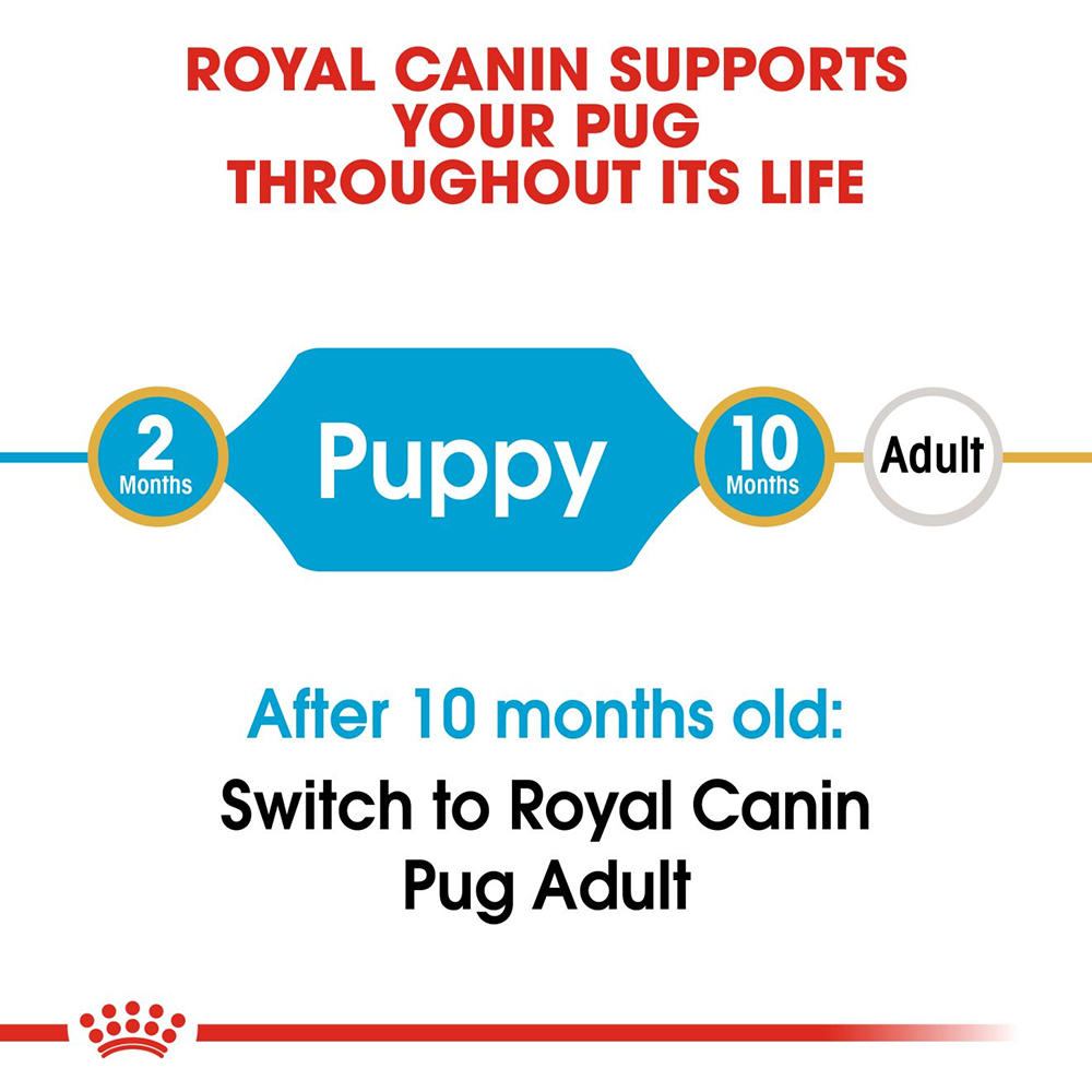 Royal Canin Pug Junior Food for Puppies - Heads Up For Tails