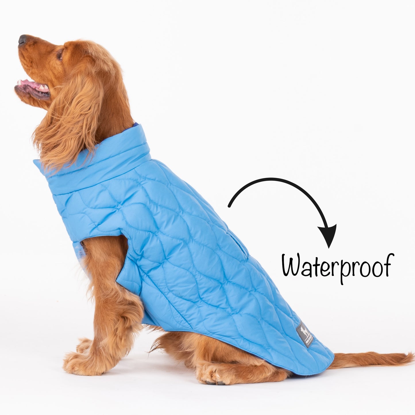 HUFT Cosy Pupper Reversible Dog Jacket- Ocean Blue - Heads Up For Tails