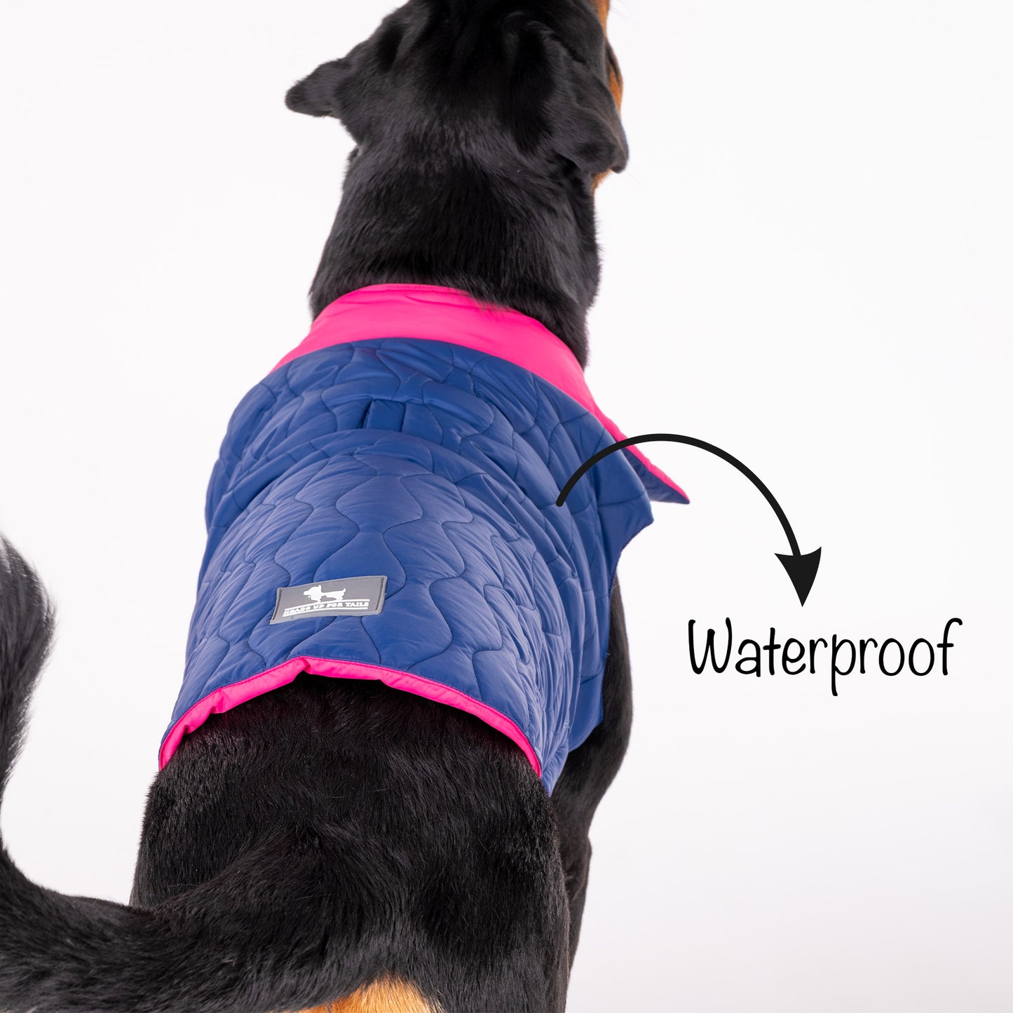 HUFT Cosy Pupper Reversible Dog Jacket - Denim Blue - Heads Up For Tails
