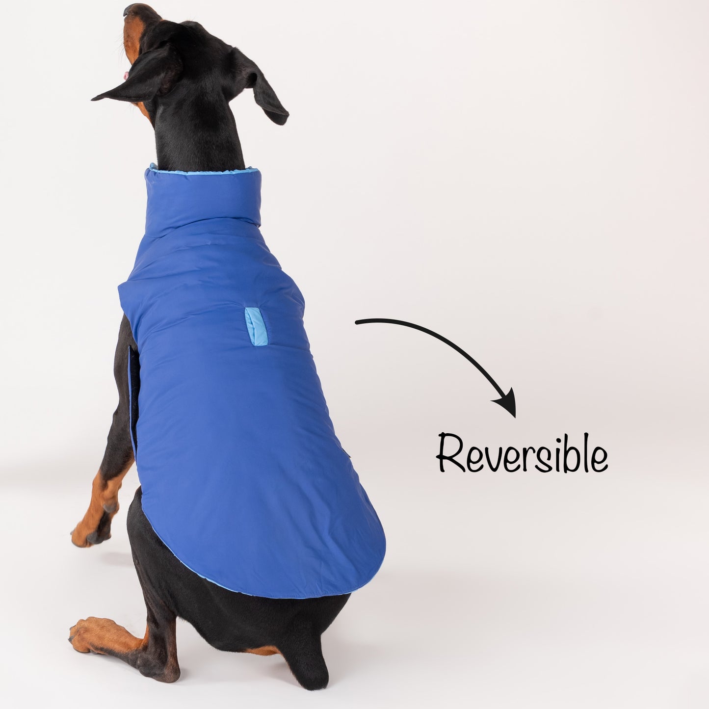 HUFT Cosy Pupper Reversible Dog Jacket- Ocean Blue - Heads Up For Tails