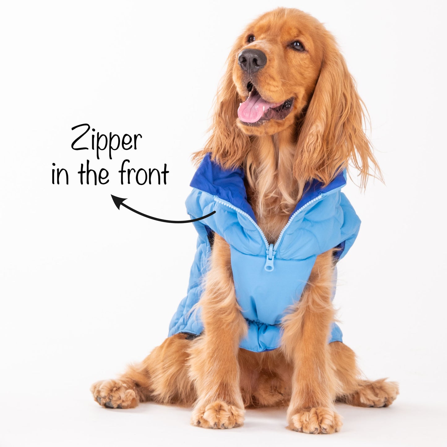 HUFT Cosy Pupper Reversible Dog Jacket- Ocean Blue - Heads Up For Tails