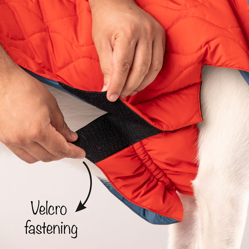 HUFT Cosy Pupper Reversible Dog Jacket- Spicy Orange - Heads Up For Tails