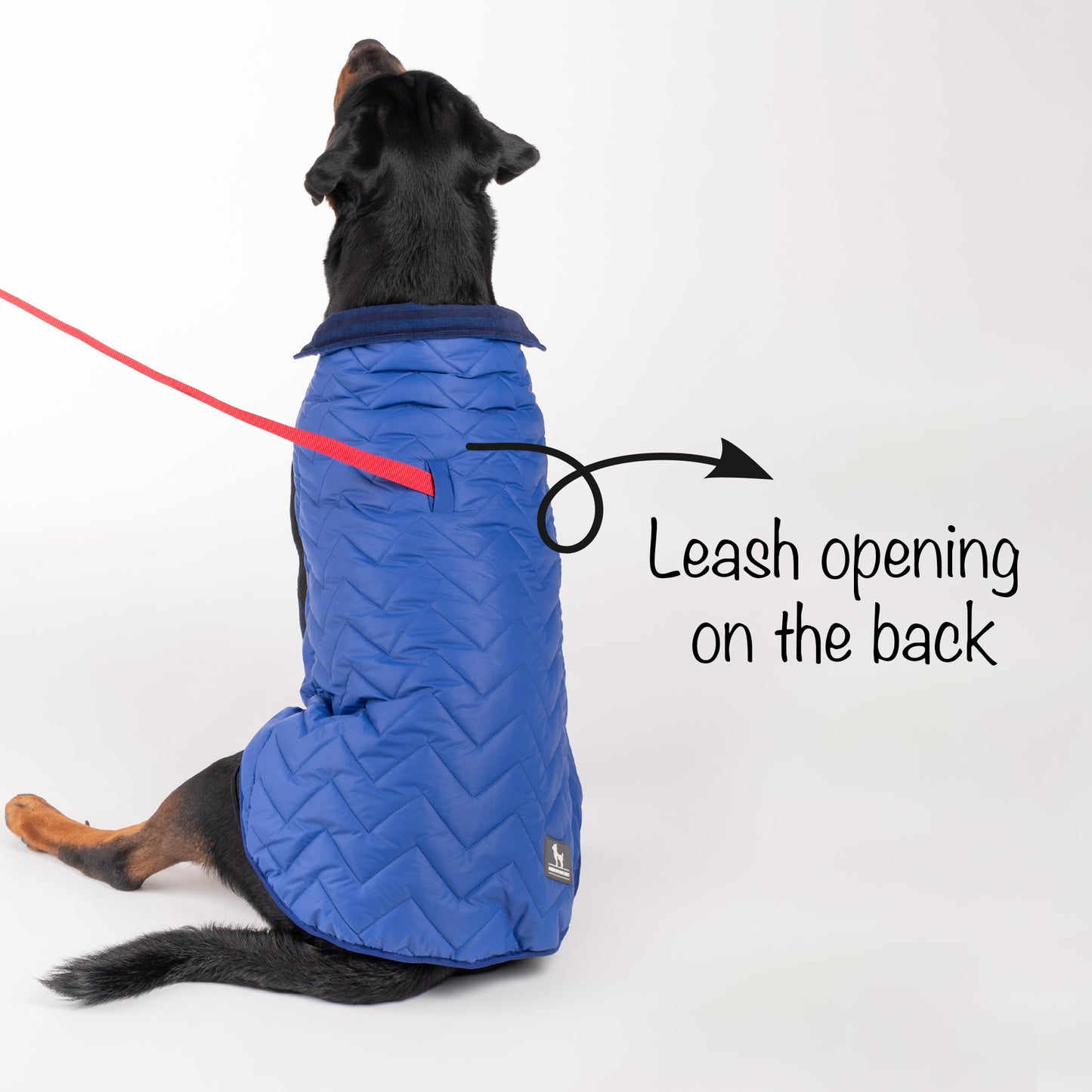 HUFT Wintersong Corduroy Dog Jacket - Blue - Heads Up For Tails