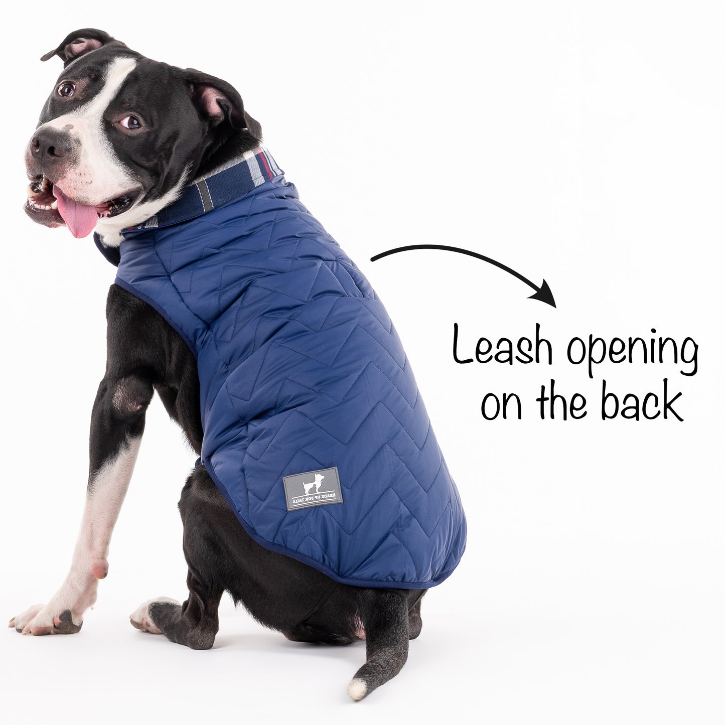 HUFT Wintersong Reversible Dog Jacket - Indigo - Heads Up For Tails