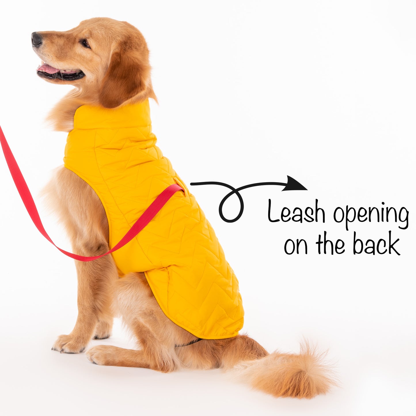 HUFT Wintersong Reversible Dog Jacket - Yellow - Heads Up For Tails