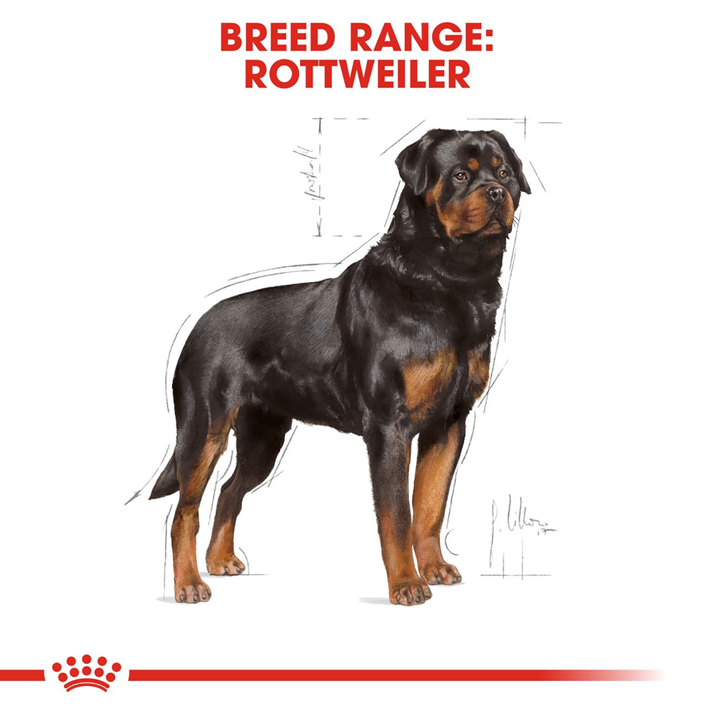 Royal Canin Rottweiler Adult Dog Food - Heads Up For Tails