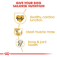 Royal Canin Rottweiler Adult Dog Food - Heads Up For Tails