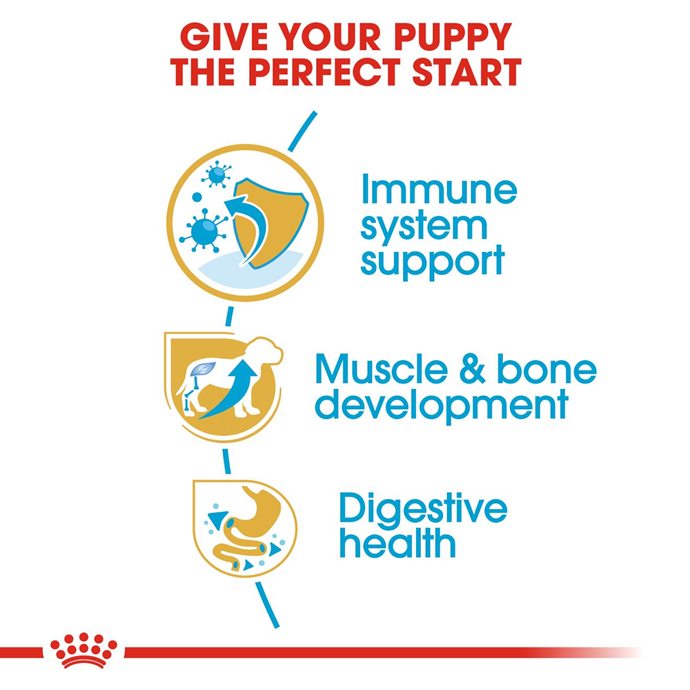 Royal canin rottweiler sales puppy feeding guide