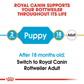 Royal Canin Rottweiler Junior Dry Puppy Food - Heads Up For Tails