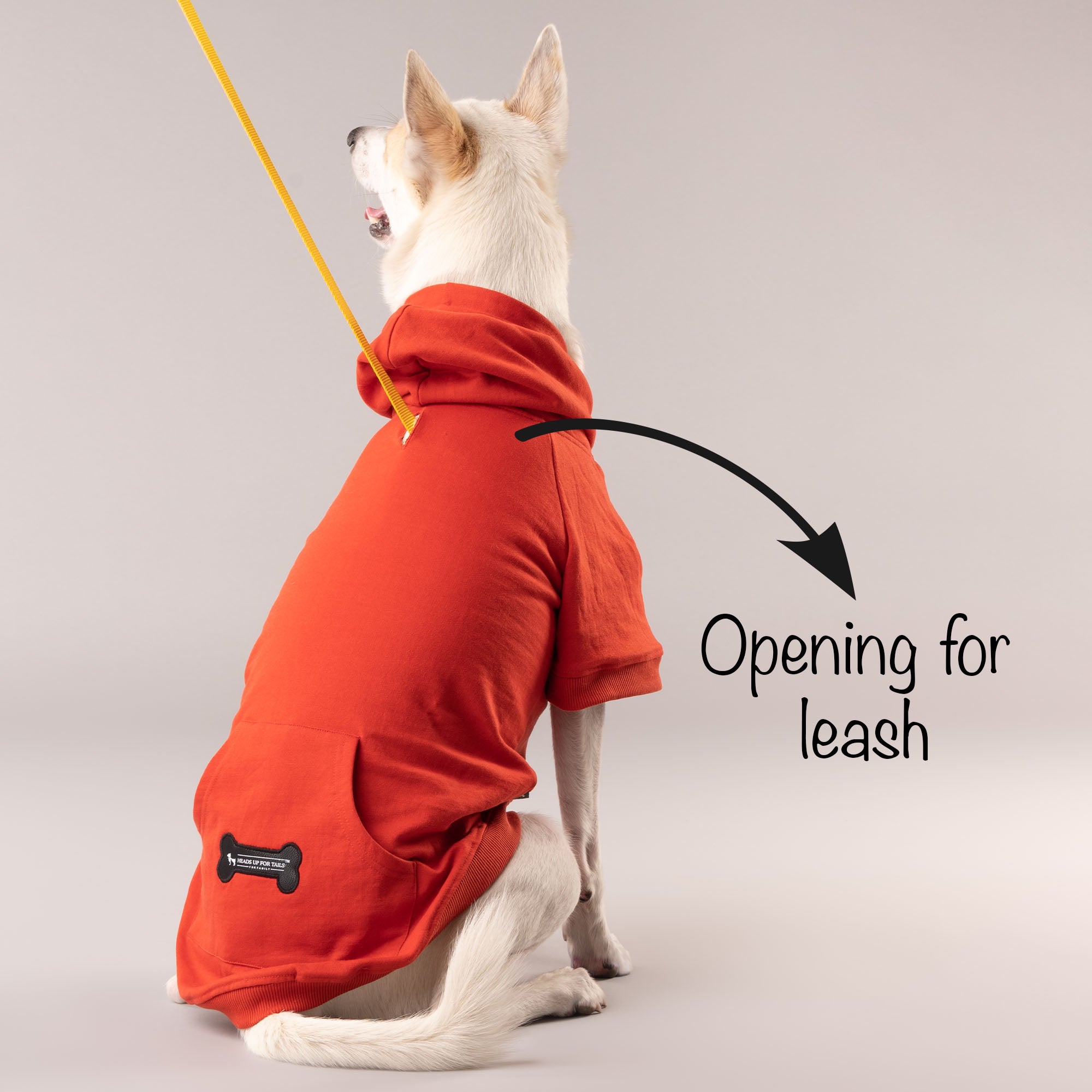 HUFT Sweatshirt for Dogs Rust Heads Up For Tails