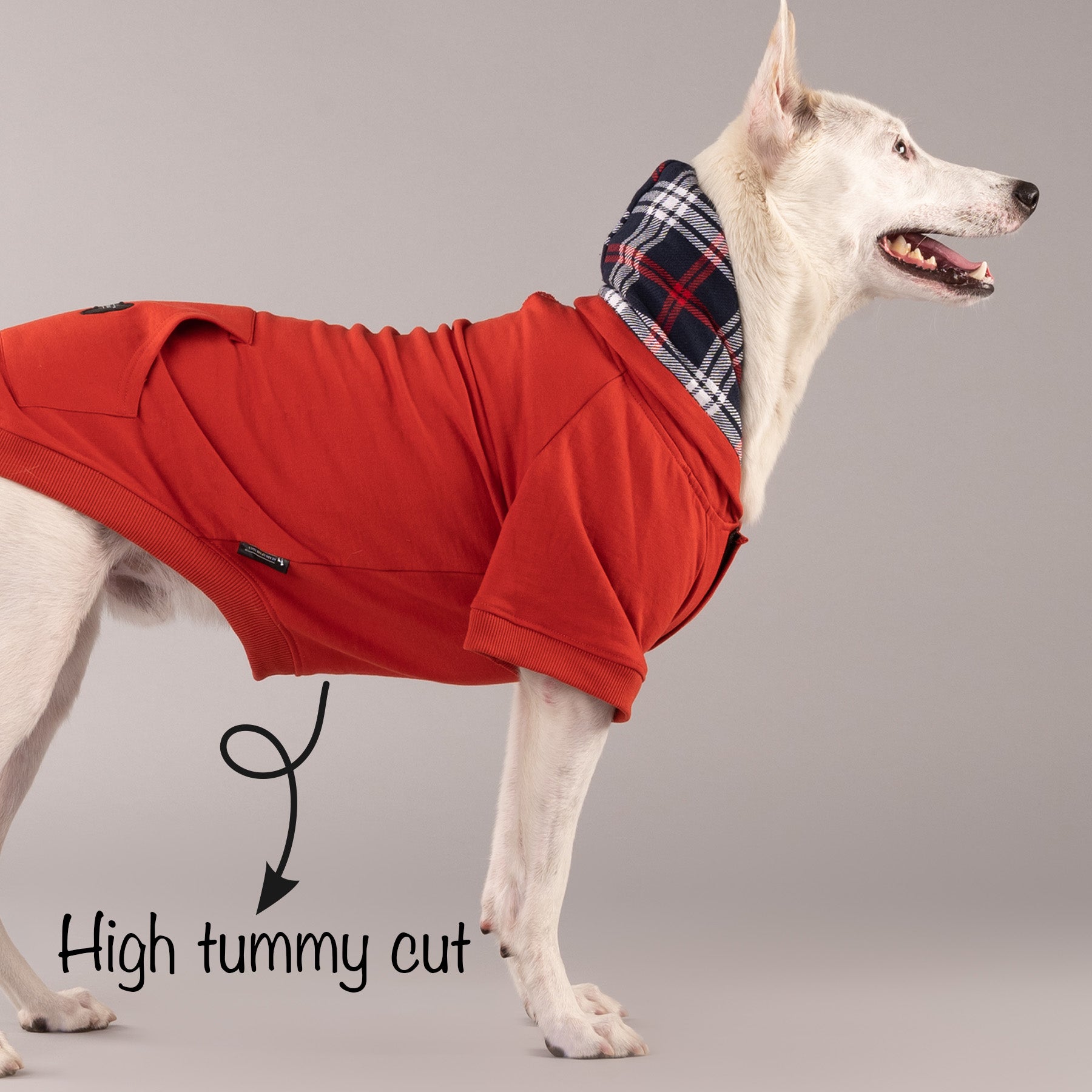 HUFT Sweatshirt for Dogs Rust Heads Up For Tails