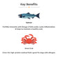 Loveabowl Grain Free Salmon With Snow Crab Hypoallergenic Dog Dry Food - Heads Up For Tails