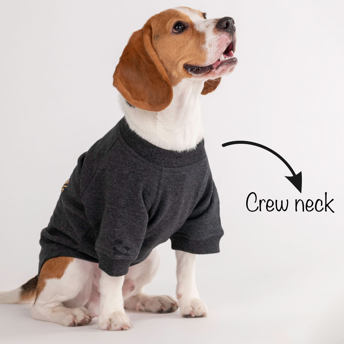 HUFT 24x7 Snuggle Duty Foil Print Pet Sweatshirt - Grey Melange - Heads Up For Tails