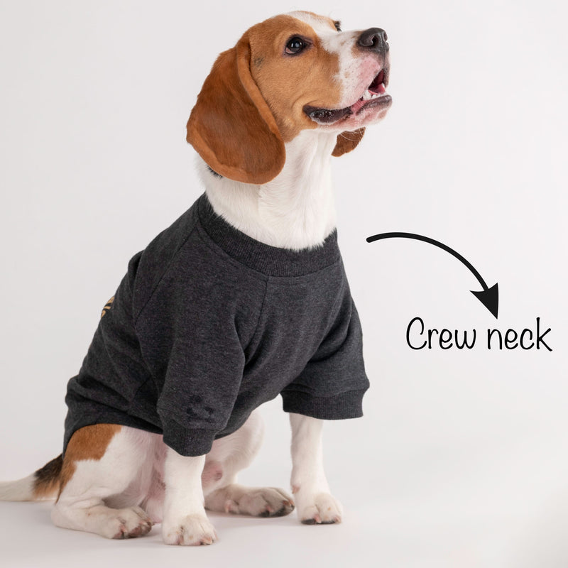 HUFT 24x7 Snuggle Duty Foil Print Pet Sweatshirt - Grey Melange - Heads Up For Tails