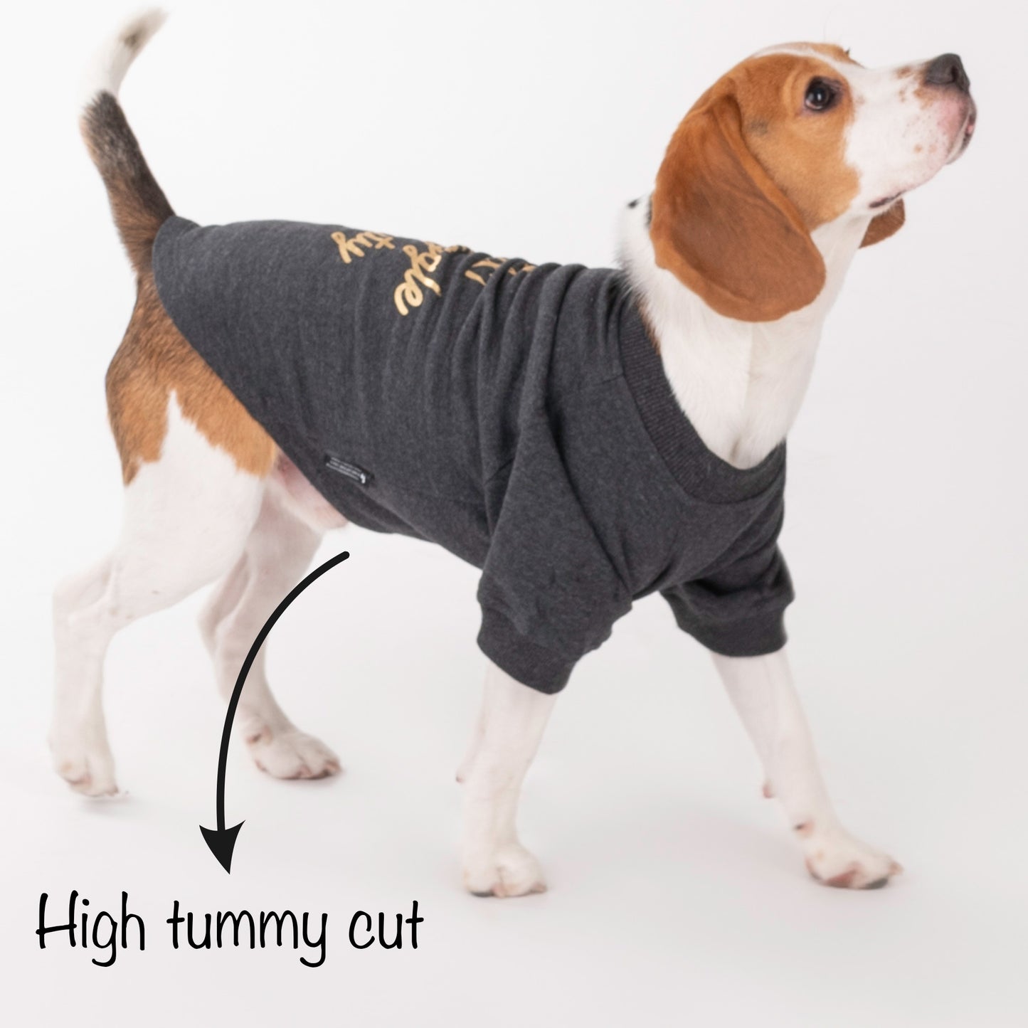 HUFT 24x7 Snuggle Duty Foil Print Pet Sweatshirt - Grey Melange - Heads Up For Tails