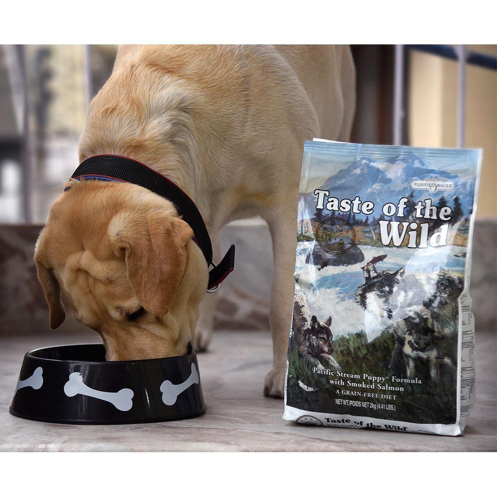Taste of the Wild Pacific Stream Grain Free Dry Puppy Food Smoked Salmon