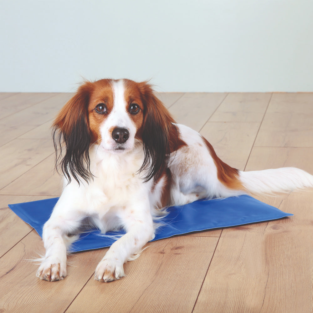 Trixie Cooling Mat For Dogs - Blue - Heads Up For Tails