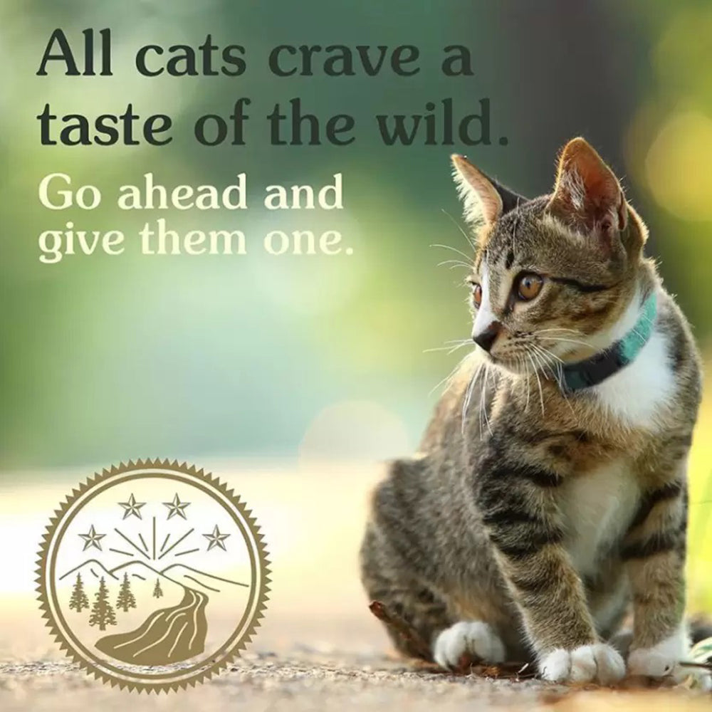 Taste of the wild best sale canyon river feline dry food