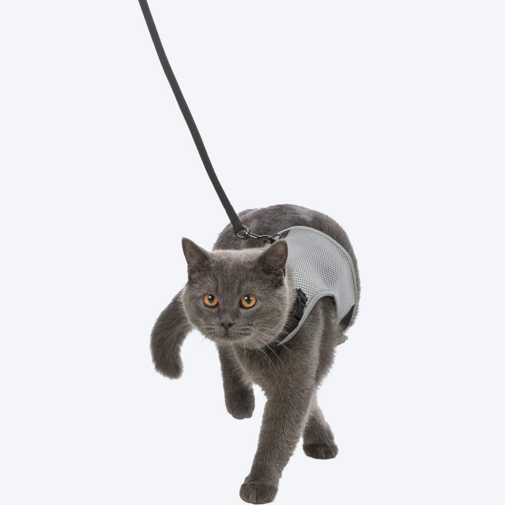 Cat harness leash clearance set