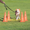 Trixie Dog Agility Obstacles - Pylon and Poles_04