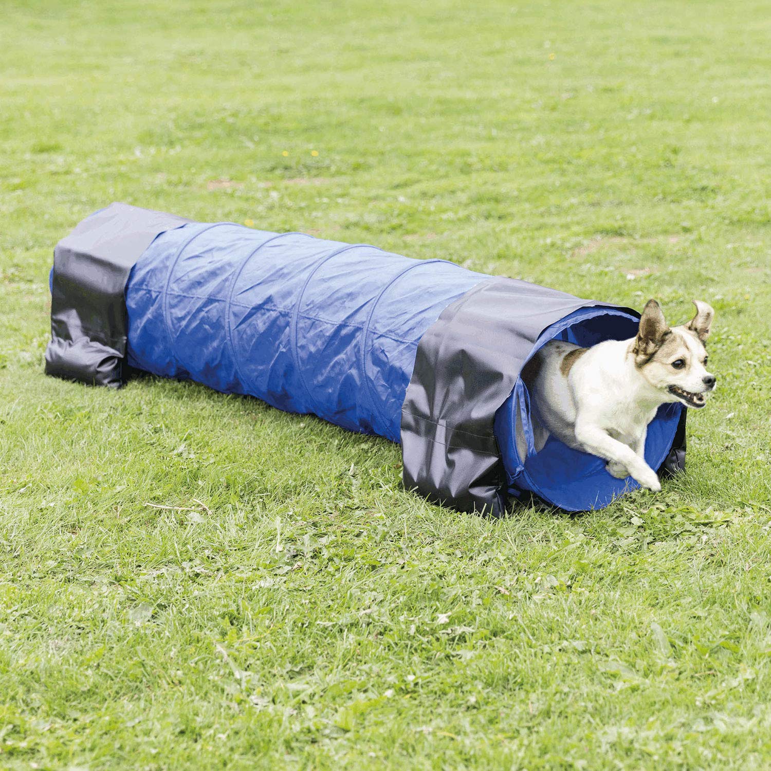 Trixie Dog Agility Puppy Tunnel- 6.6 cm Length 18 inch-1
