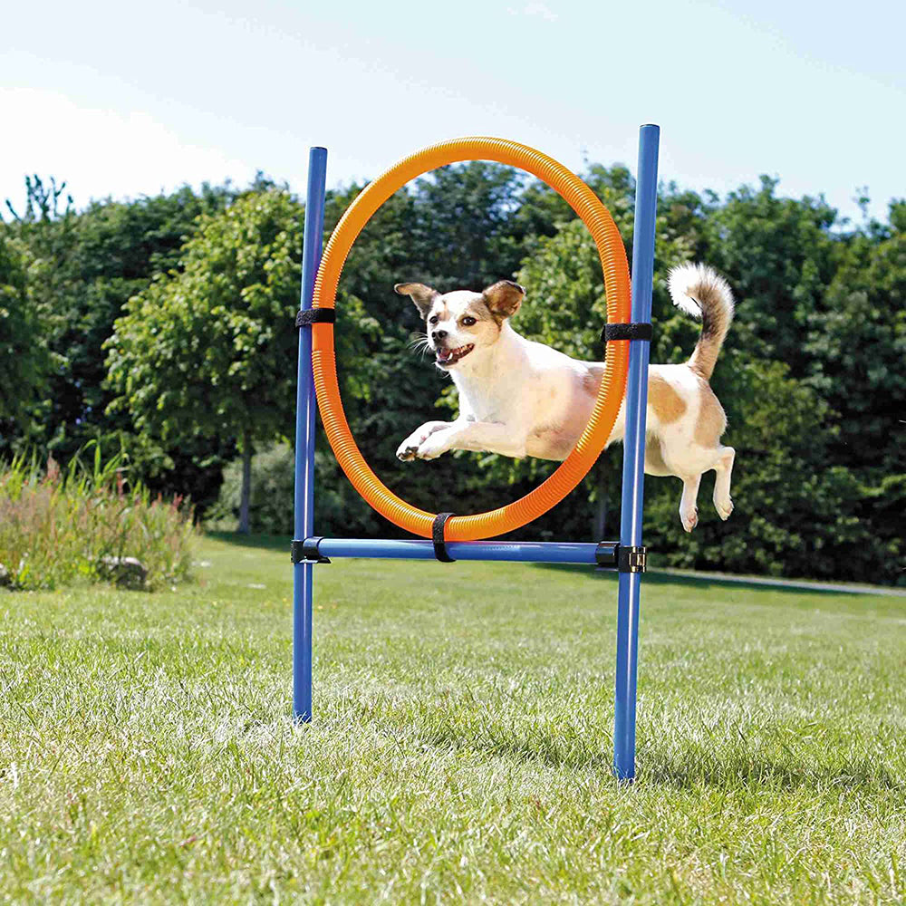 Trixie Dog Agility Ring, Orange/Blue - Heads Up For Tails