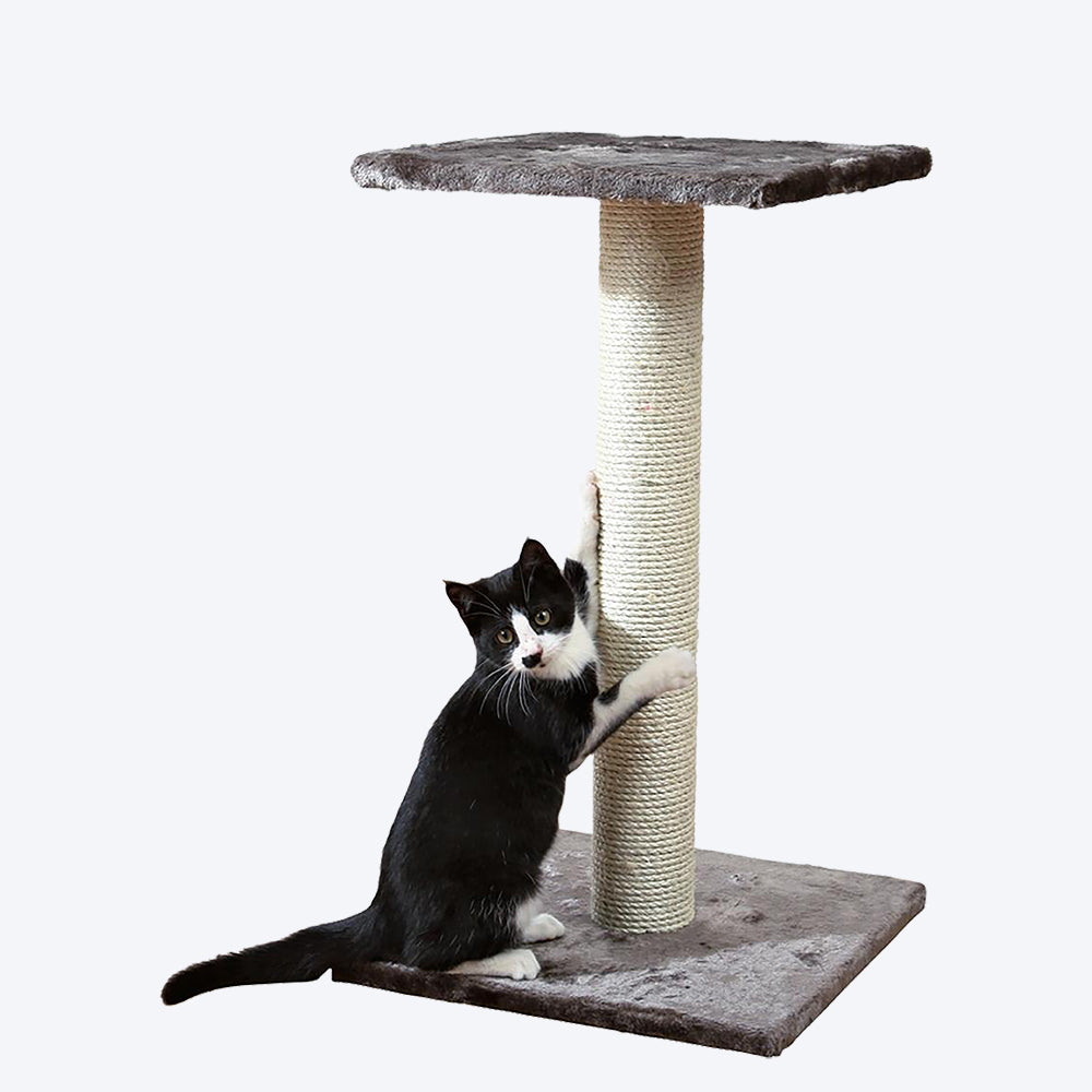 Trixie Espejo Cat Scratching Post - Platinum Grey - 2.3 feet - Heads Up For Tails