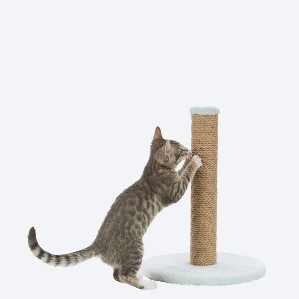 Trixie Junior Scratching Post on Plate - Heads Up For Tails