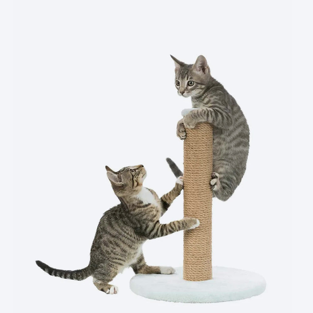 Trixie Junior Scratching Post on Plate - Heads Up For Tails