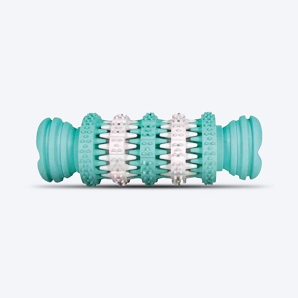 Trixie Natural Denta Fun Natural Rubber Bone, Mint Flavour - 11 cm - Heads Up For Tails