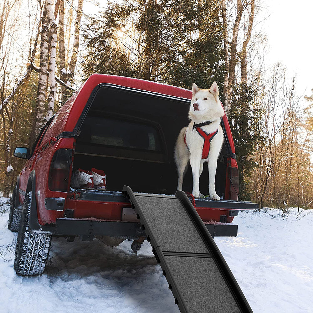 Trixie dog outlet ramp