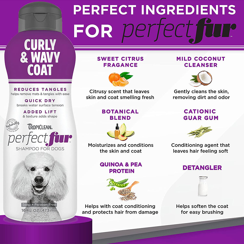 Tropiclean Perfect Fur Curly and Wavy Coat Shampoo For Dogs - 473ml - Heads Up For Tails