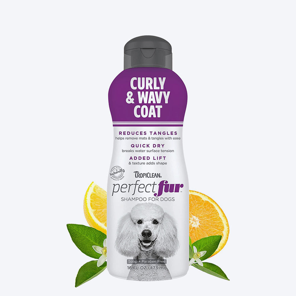 Tropiclean Perfect Fur Curly and Wavy Coat Shampoo For Dogs - 473ml - Heads Up For Tails