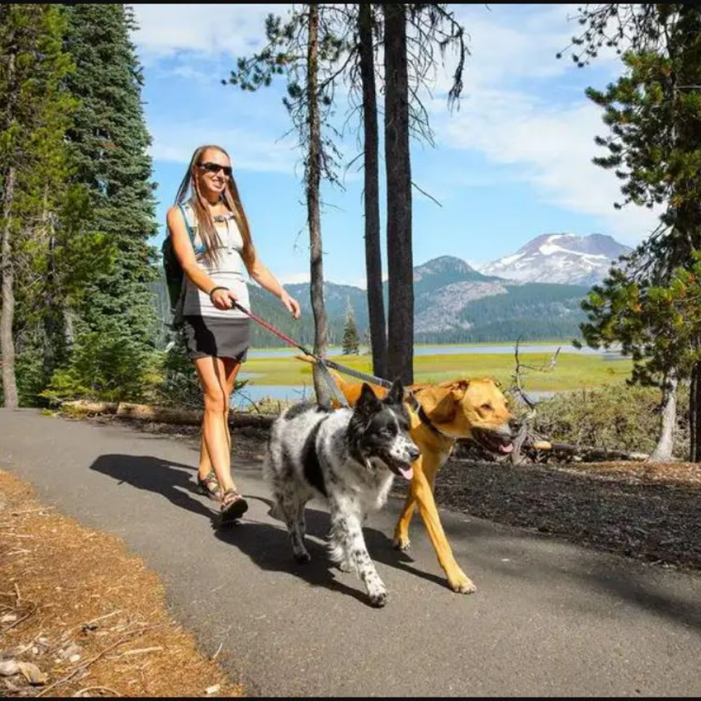 Ruffwear Double Track Dog Leash Coupler - Granite Grey (Two Dog Leash Connector) - Heads Up For Tails