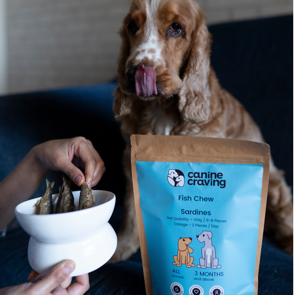 Canine Craving Dehydrated Sardines Dog Treat - 100 g - Heads Up For Tails
