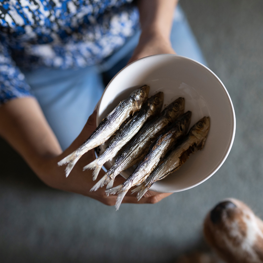 Canine Craving Dehydrated Sardines Dog Treat - 100 g - Heads Up For Tails