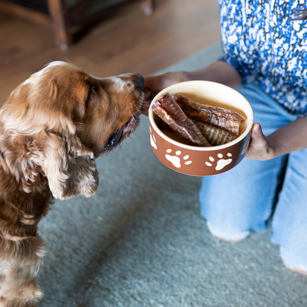 Buffalo trachea for dogs clearance