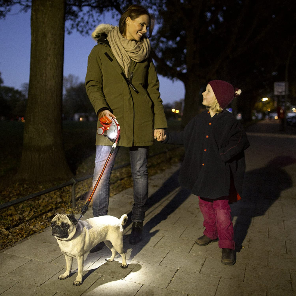 Flexi Vario Led Flash Belt6